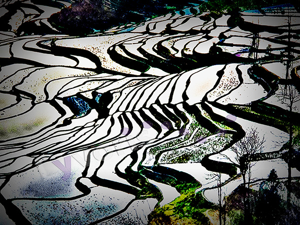 Reisterrassen Yuangyang 3