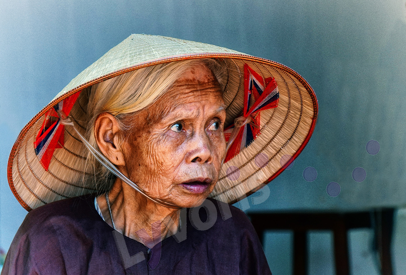 Porträt einer alten Vietnamesin